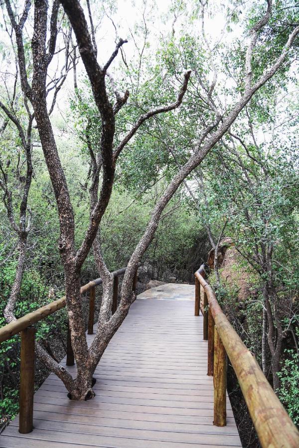 Madikwe Hills Private Game Lodge Madikwe Game Reserve Ngoại thất bức ảnh
