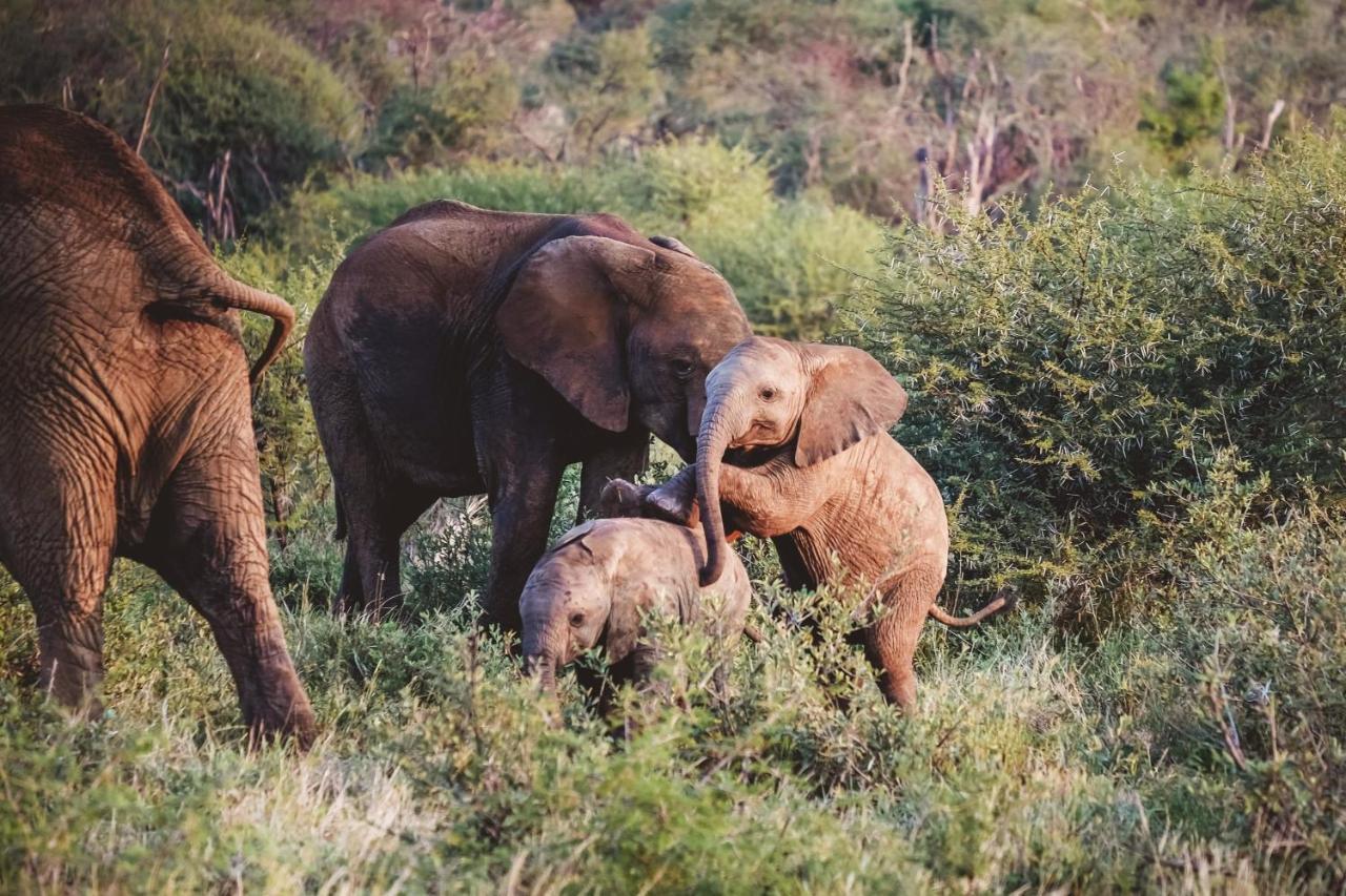Madikwe Hills Private Game Lodge Madikwe Game Reserve Ngoại thất bức ảnh